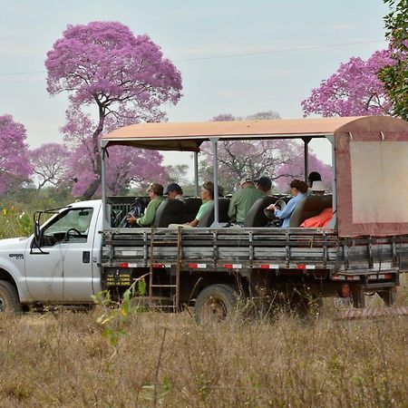 Southwild Pantanal Lodge Pixaim 外观 照片