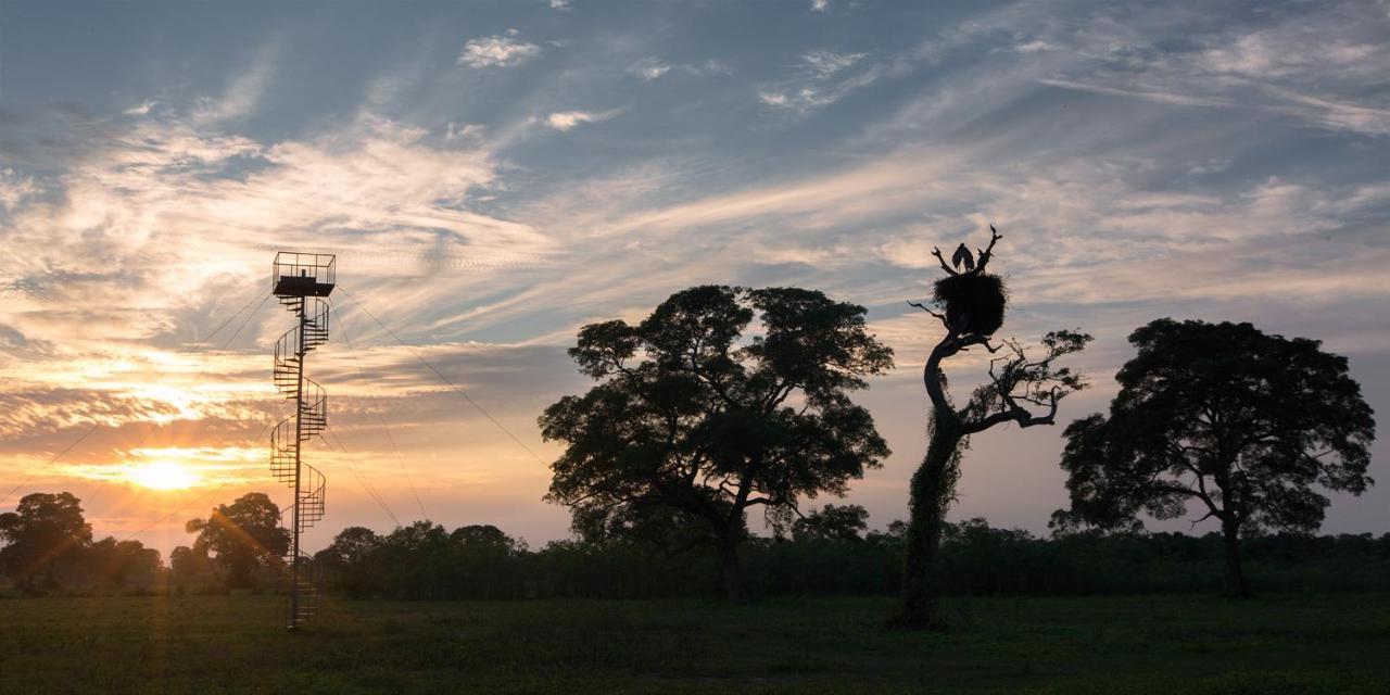 Southwild Pantanal Lodge Pixaim 外观 照片