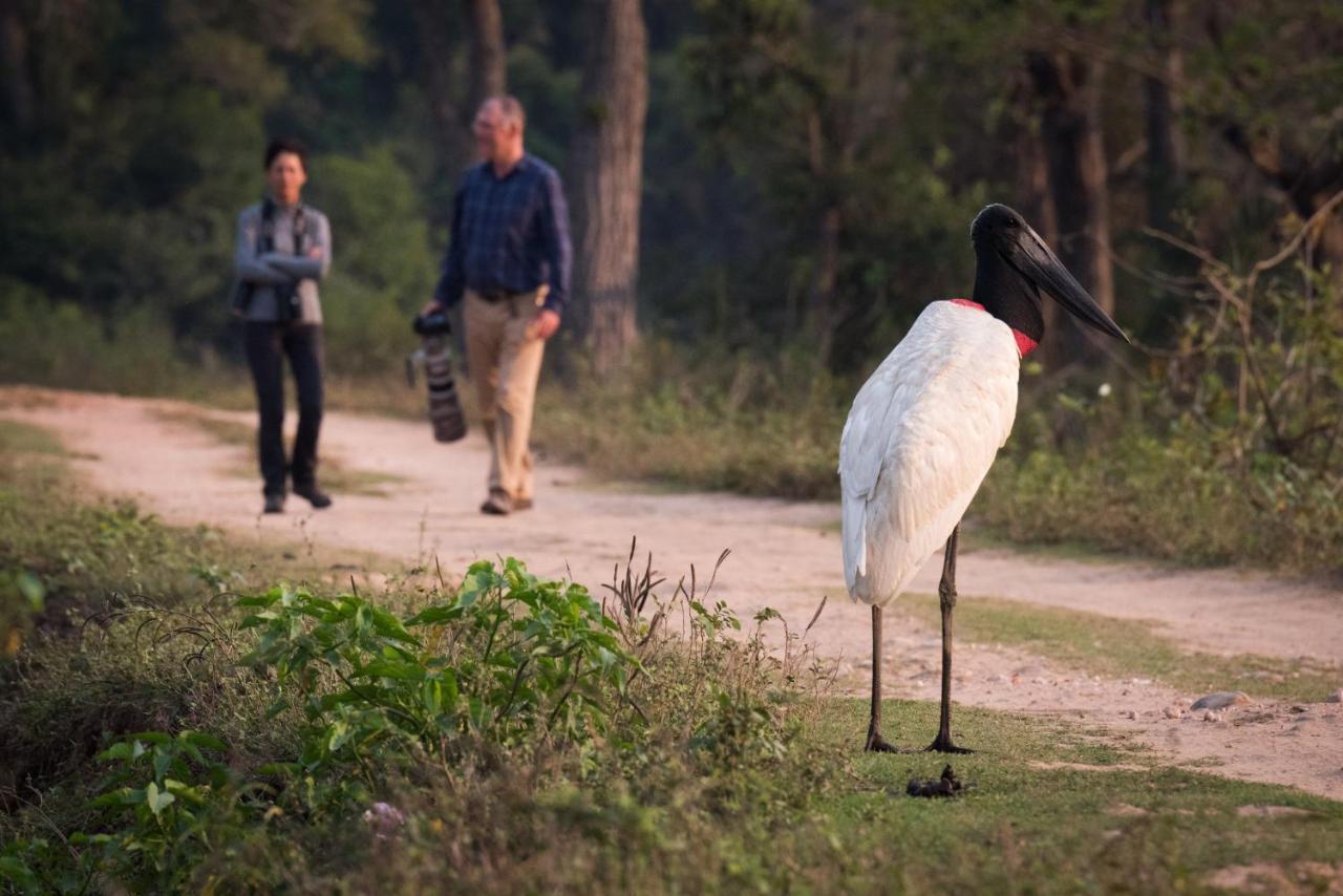 Southwild Pantanal Lodge Pixaim 外观 照片