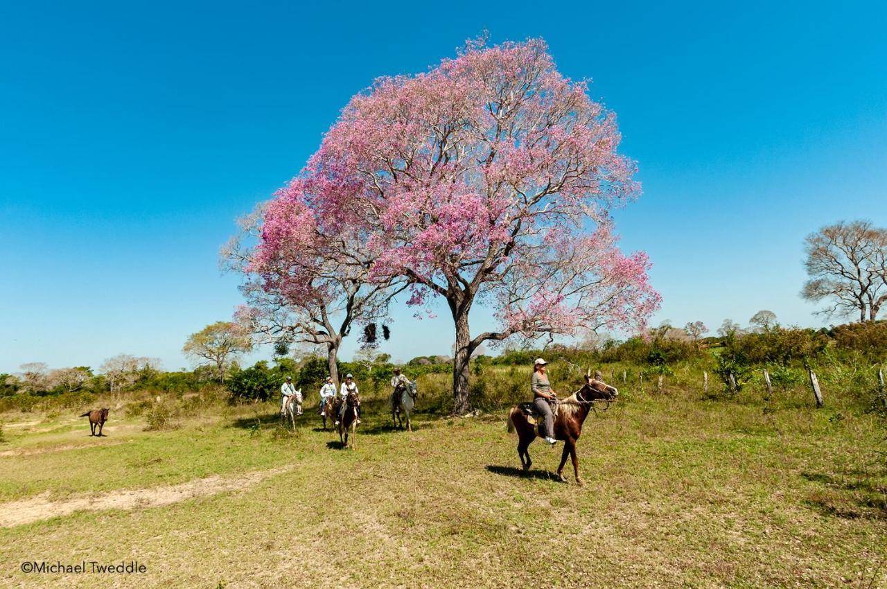 Southwild Pantanal Lodge Pixaim 外观 照片