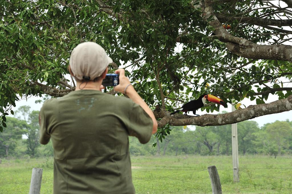 Southwild Pantanal Lodge Pixaim 外观 照片