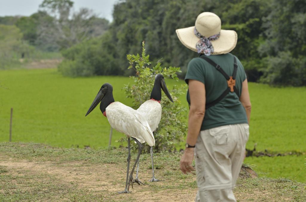 Southwild Pantanal Lodge Pixaim 外观 照片