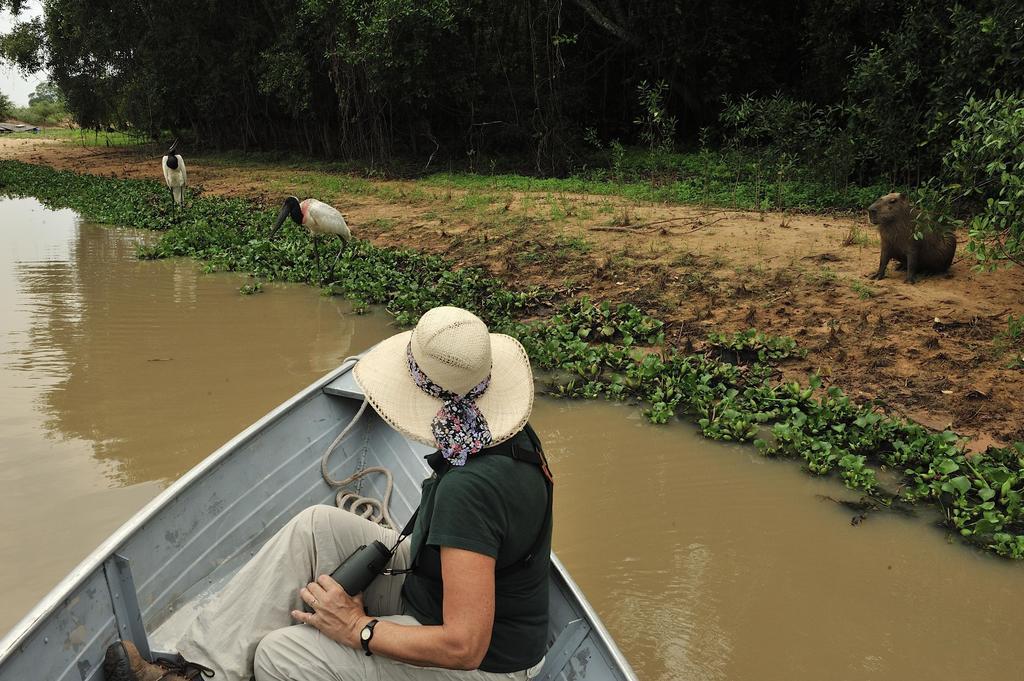 Southwild Pantanal Lodge Pixaim 外观 照片