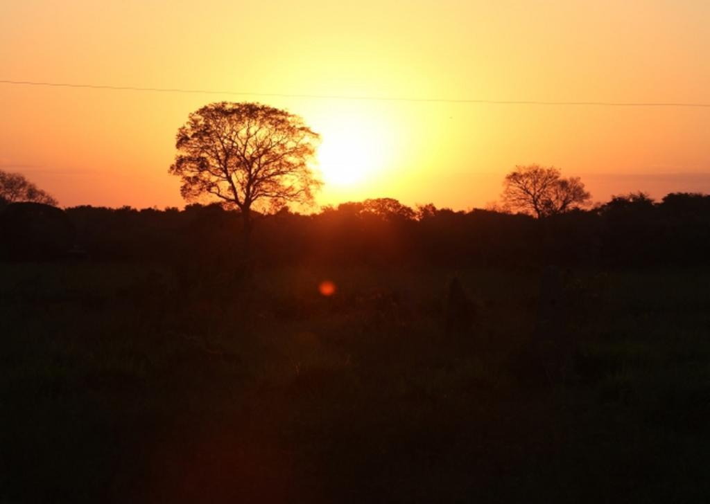 Southwild Pantanal Lodge Pixaim 外观 照片