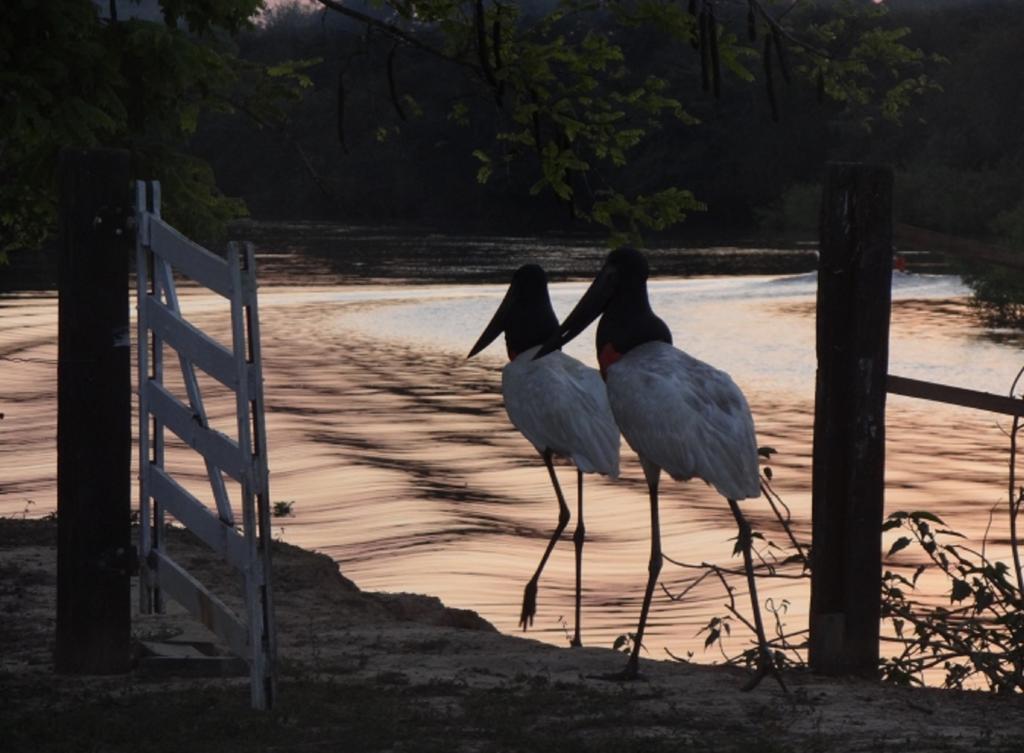 Southwild Pantanal Lodge Pixaim 外观 照片