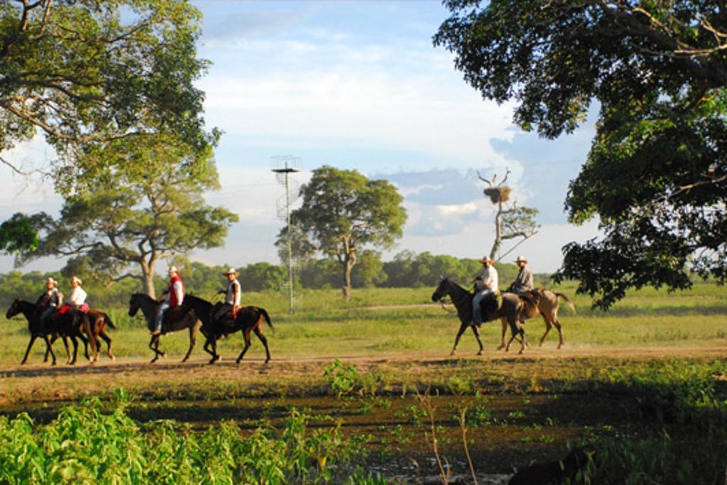 Southwild Pantanal Lodge Pixaim 外观 照片