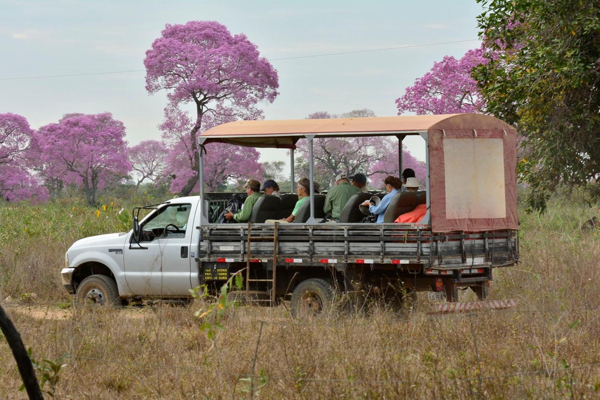 Southwild Pantanal Lodge Pixaim 外观 照片