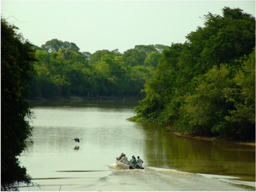 Southwild Pantanal Lodge Pixaim 外观 照片
